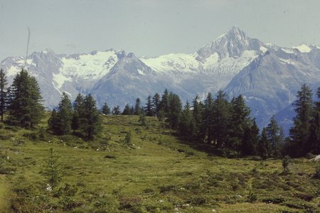 PICT0084.JPG