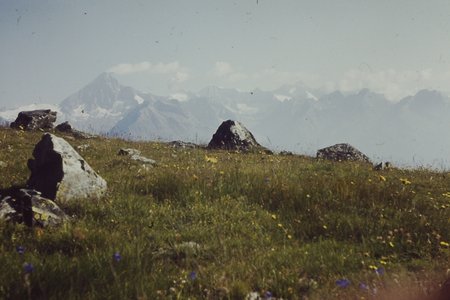 PICT0095.JPG
