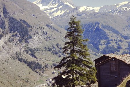 PICT0126.JPG