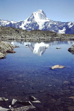 PICT0131.JPG