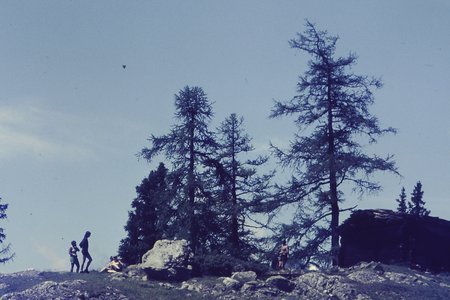 PICT0139.JPG