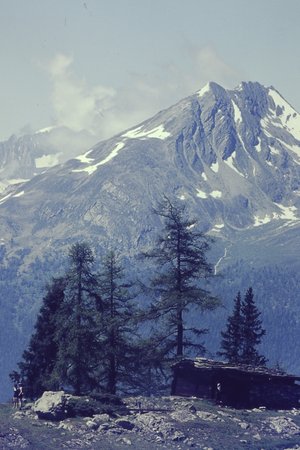 PICT0140.JPG