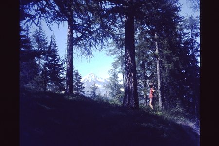 PICT0150.JPG