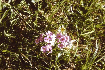 PICT0154.JPG